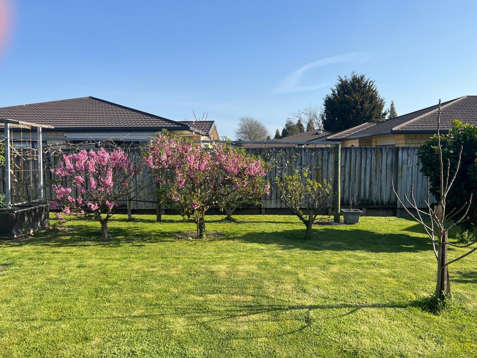 Matamata Holiday home